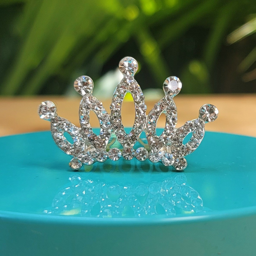 Mini Princess Crown / Pet Tiara Crown